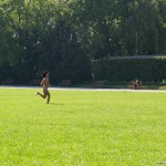 All through Prague on a sunny day