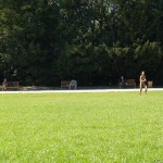 All through Prague on a sunny day