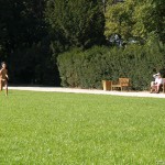 All through Prague on a sunny day