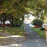 All through Prague on a sunny day