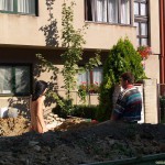 All through Prague on a sunny day