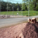 In a public park First in the middle of a meadow