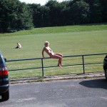 In a public park First in the middle of a meadow