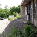 On a path through a park