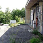 On a path through a park