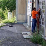 On a path through a park
