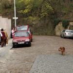 At and around the historic center