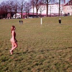 On a green area next to the river bank