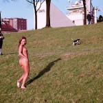 On a green area next to the river bank