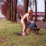 On a green area next to the river bank