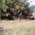 In the woods and later