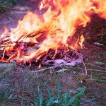 In the woods and later