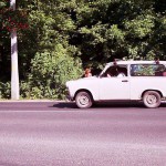 In the woods and later