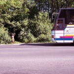 In the woods and later