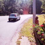 In the woods and later