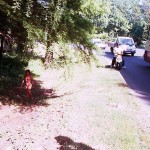 In the woods and later