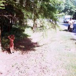 In the woods and later