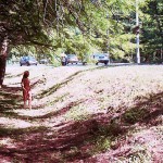 In the woods and later