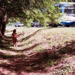 In the woods and later