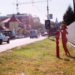 In the woods and later