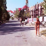 In the woods and later