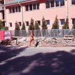 In the woods and later