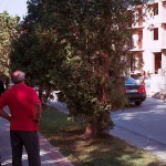 In the woods and later