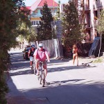 In the woods and later