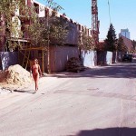 In the woods and later