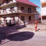 In the woods and later