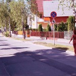 In the woods and later