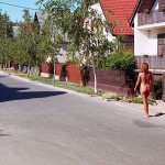 In the woods and later