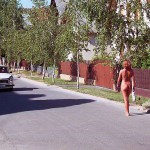 In the woods and later