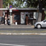 A long walk in the park of a palace