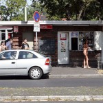 A long walk in the park of a palace