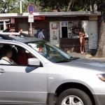 A long walk in the park of a palace