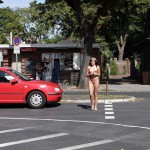 A long walk in the park of a palace