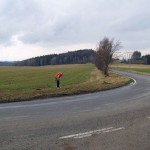 Very bold next to a road