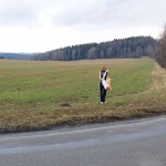 Very bold next to a road