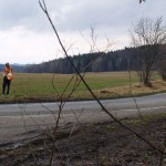 Very bold next to a road