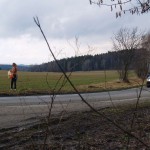 Very bold next to a road