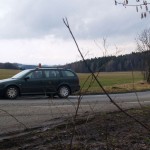 Very bold next to a road