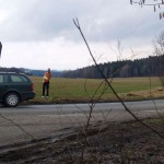 Very bold next to a road