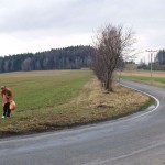 Very bold next to a road