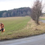 Very bold next to a road