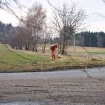 Very bold next to a road