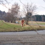 Very bold next to a road