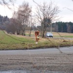 Very bold next to a road