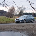 Very bold next to a road