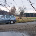 Very bold next to a road